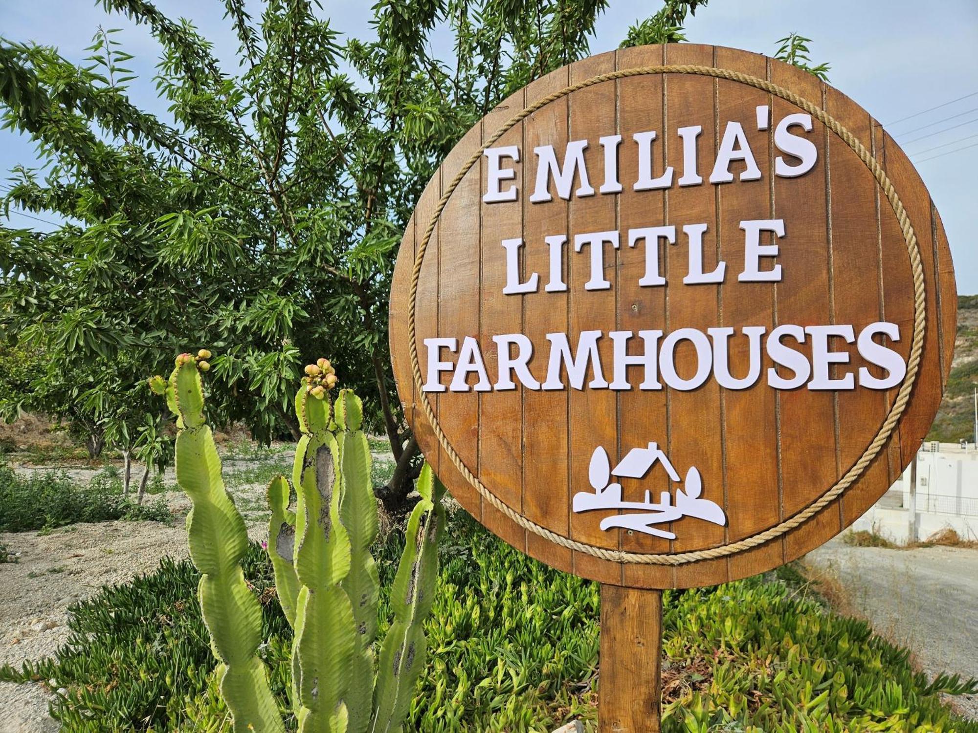 Emilia'S Little Farmhouses Agioi Anargyroi  Exteriör bild